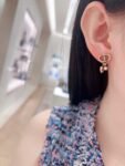 Dior - Earrings