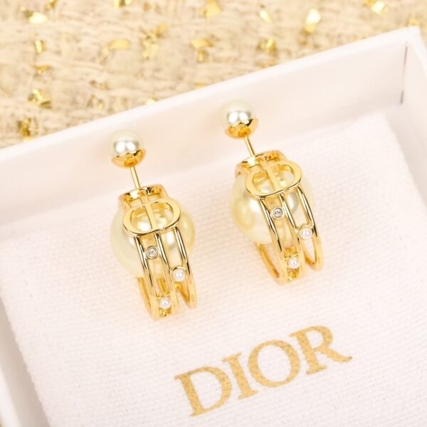 Dior - Earrings