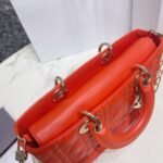 Dior - Medium Lady D-Joy Bag